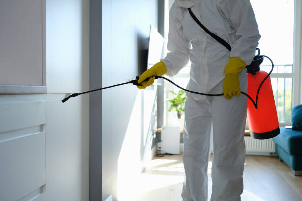 Best Emergency Mold Removal  in Wauregan, CT