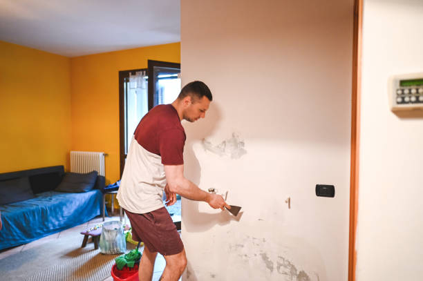 Best Mold Cleaning Services  in Wauregan, CT